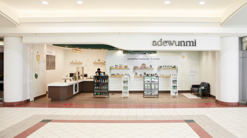 Introducing Adewunmi: A Revolutionary Customized Skincare Startup Powered by AI