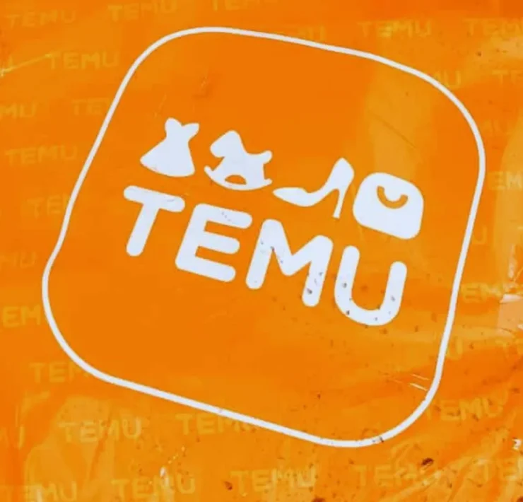 temu fashion law