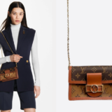 Best Louis Vuitton Wallets on Chains To Invest In