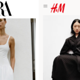 H&M and Zara Linked to Illegal Deforestation in Brazil