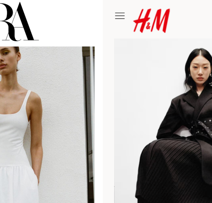 H&M and Zara Linked to Illegal Deforestation in Brazil