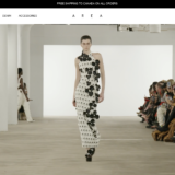 AREA NYC: History And Ownership