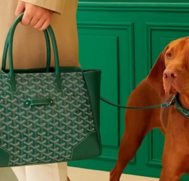 Here's Why You Can't Buy Goyard Online