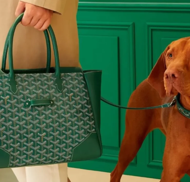 Here's Why You Can't Buy Goyard Online