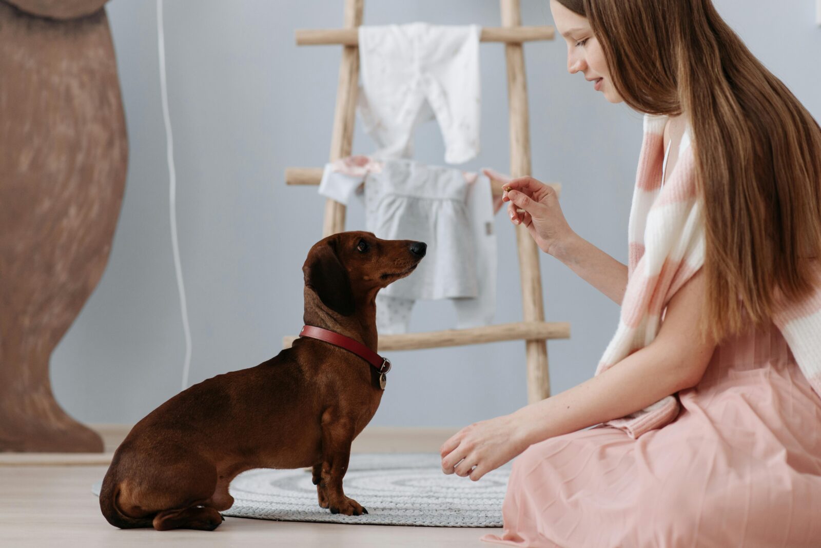 Gen Z's Pet Obsession Fuels $150 Billion Retail Pet Care Boom