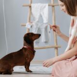 Gen Z's Pet Obsession Fuels 0 Billion Retail Pet Care Boom