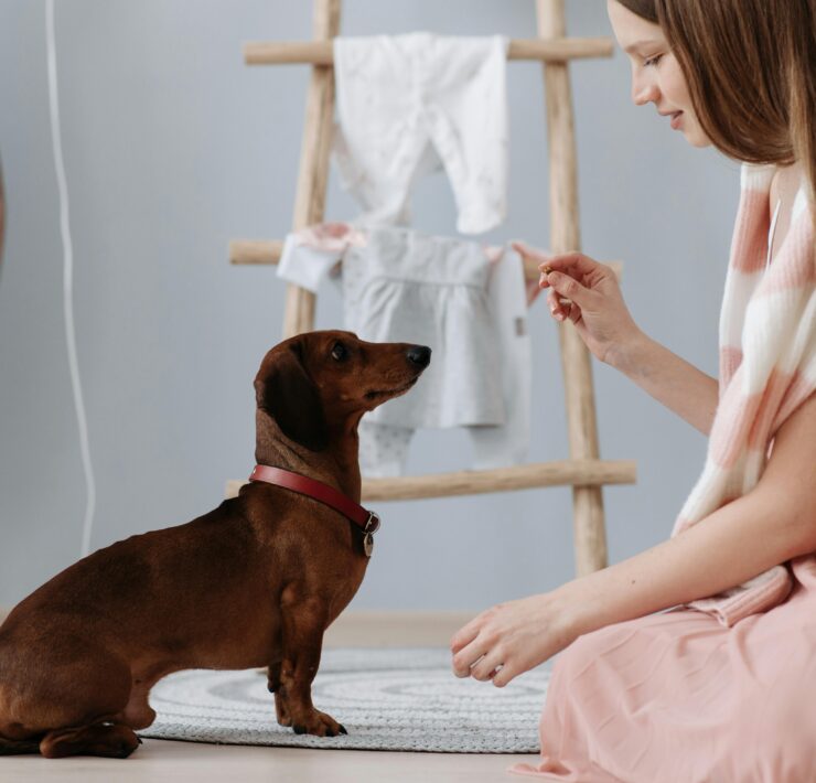 Gen Z's Pet Obsession Fuels $150 Billion Retail Pet Care Boom