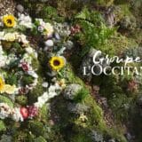 L’OCCITANE Group Highlights Global Sustainability Efforts in New Campaign