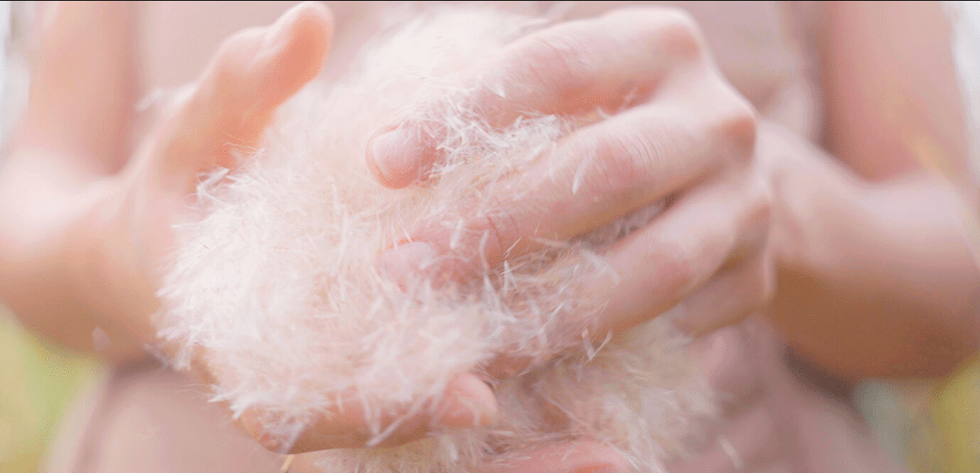 Stella McCartney Unveils World’s First Plant-Based Feathers at Paris Fashion Week