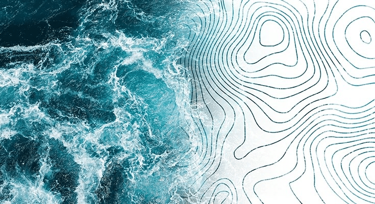 Nature Study Shows How Enzymes Might Solve Fast Fashion Waste