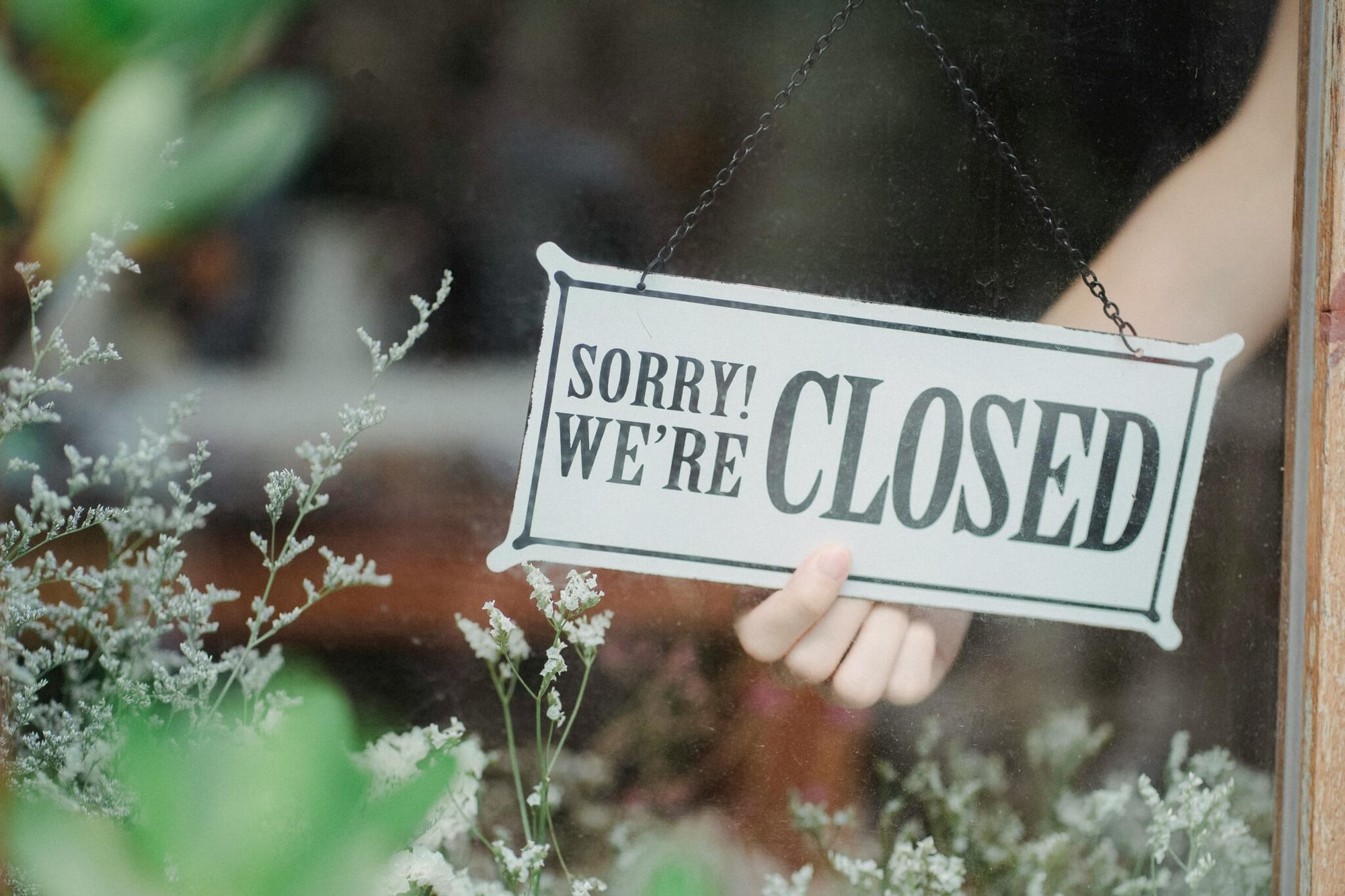 1 in 3 brands launched in 2022 discontinued by 2023