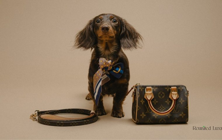 Reunited Luxury Partners with FACE Foundation to Support Life Saving Pet Care