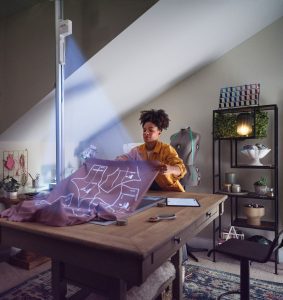 Ditto Joan Singer Home Sewist