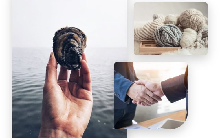 Seawool® and Cotton Blend Launches New Era of US Sustainable Fashion