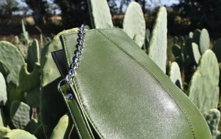 Desserto brings cactus-based vegan leather from Mexico to global fashion