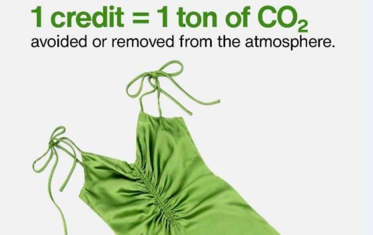 Vestiaire Collective Launches 55 Thousand Certified Carbon Credits From Circular Fashion
