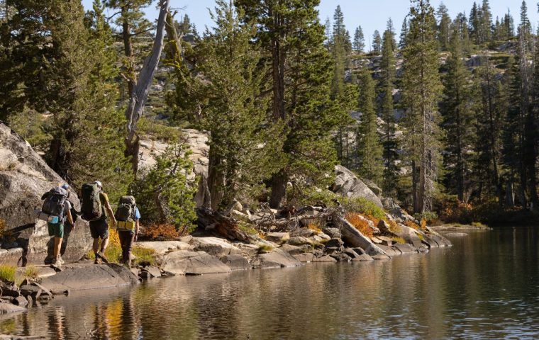 REI Co-op Closes 2025 with Massive Renewable Energy And Circularity Gains