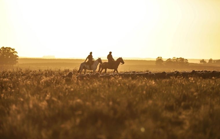 Inside Gucci's Regenerative Farming Initiative That is Reshaping Sustainability From the Soil Up