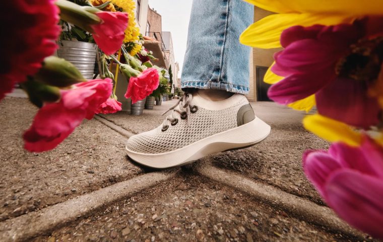 Allbirds, once valued at $4 Billion, Is Selling All Its Assets to American Exchange Group for $39 Million