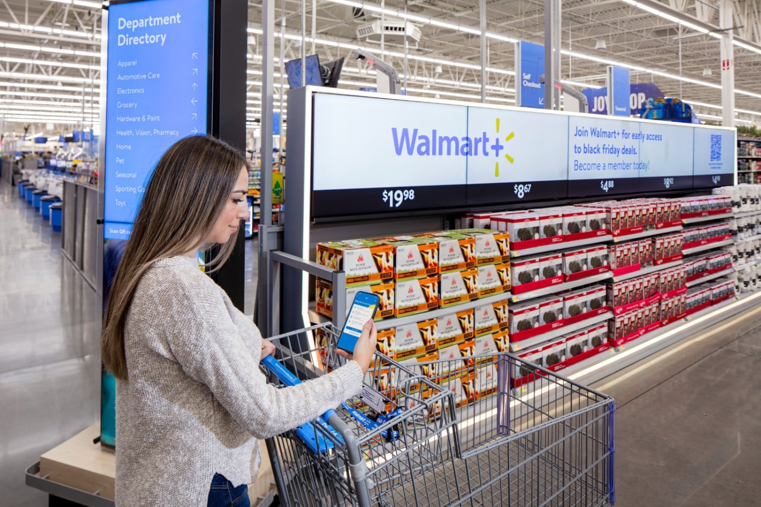 What is a Big-box Retailer?