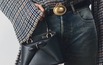 Dior Mini Cigale bag in structured calfskin leather with signature bow detail
