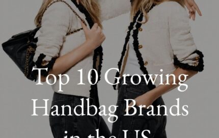 Top Growing Handbag Brands in the US by Peak Search Growth report page 1