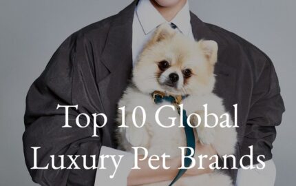 Top 10 Luxury Pet Brands in the World 2026 report page 1