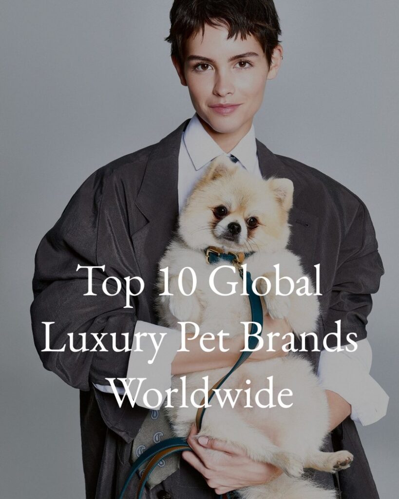 Top 10 Luxury Pet Brands in the World 2026 report page 1