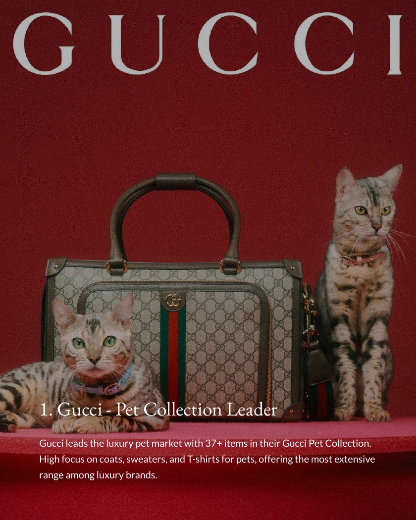 Top 10 Luxury Pet Brands in the World 2026 report page 3