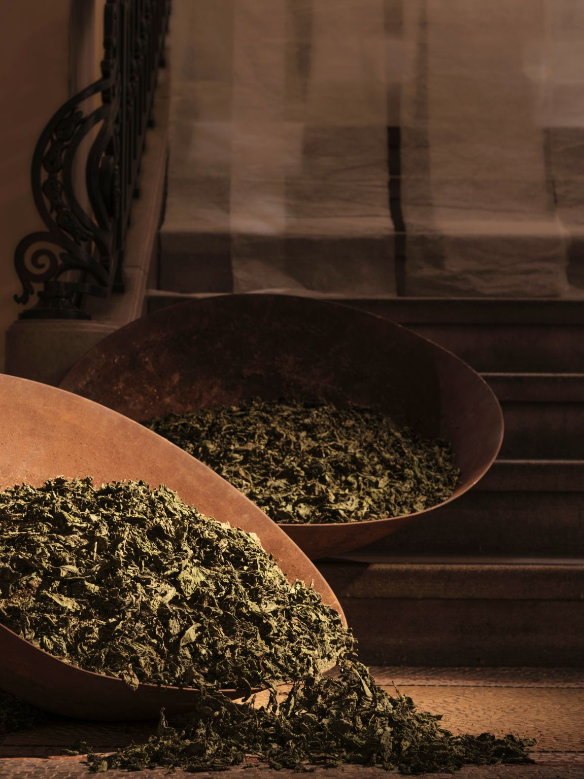 Aesop’s Of Scent and Stanza exhibition in Tokyo, photograph 5