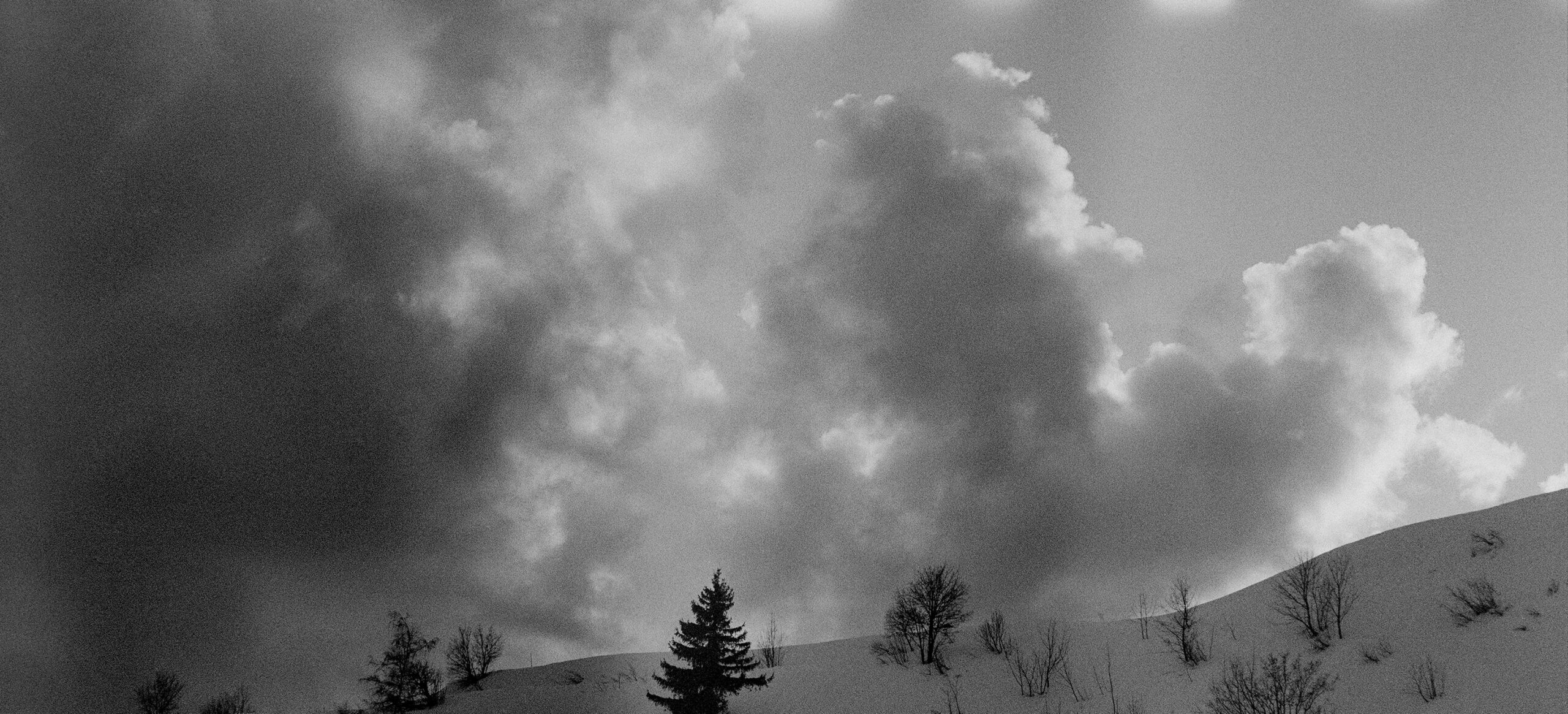 Ilion Huit photograph presented by ICICLE Cultural Space Shanghai