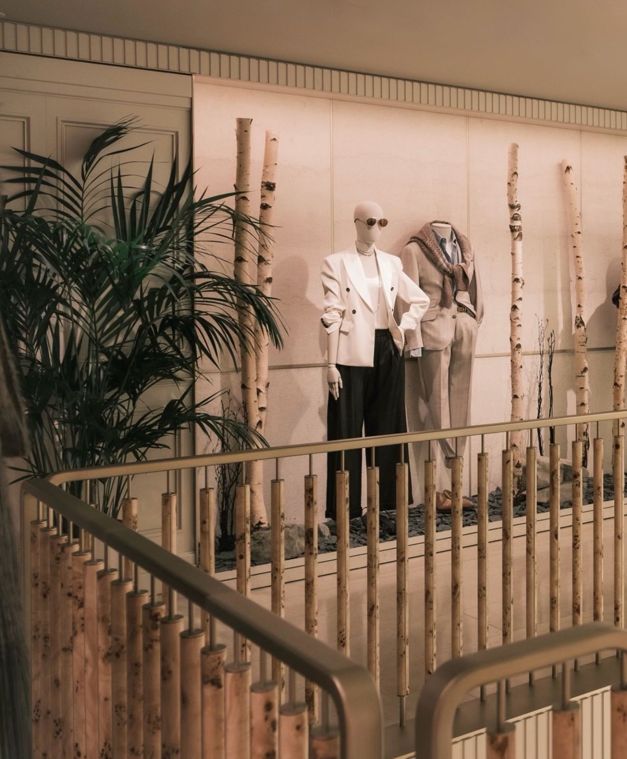 Tailored looks displayed with birch trunks