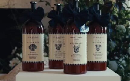 Jo Malone London and WildWash dog-shampoo launch video still