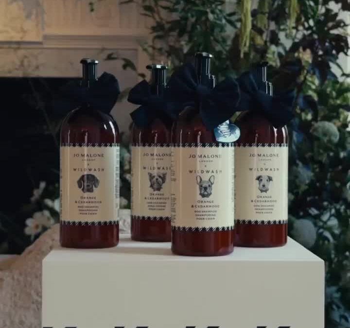 Jo Malone London and WildWash dog-shampoo launch video still