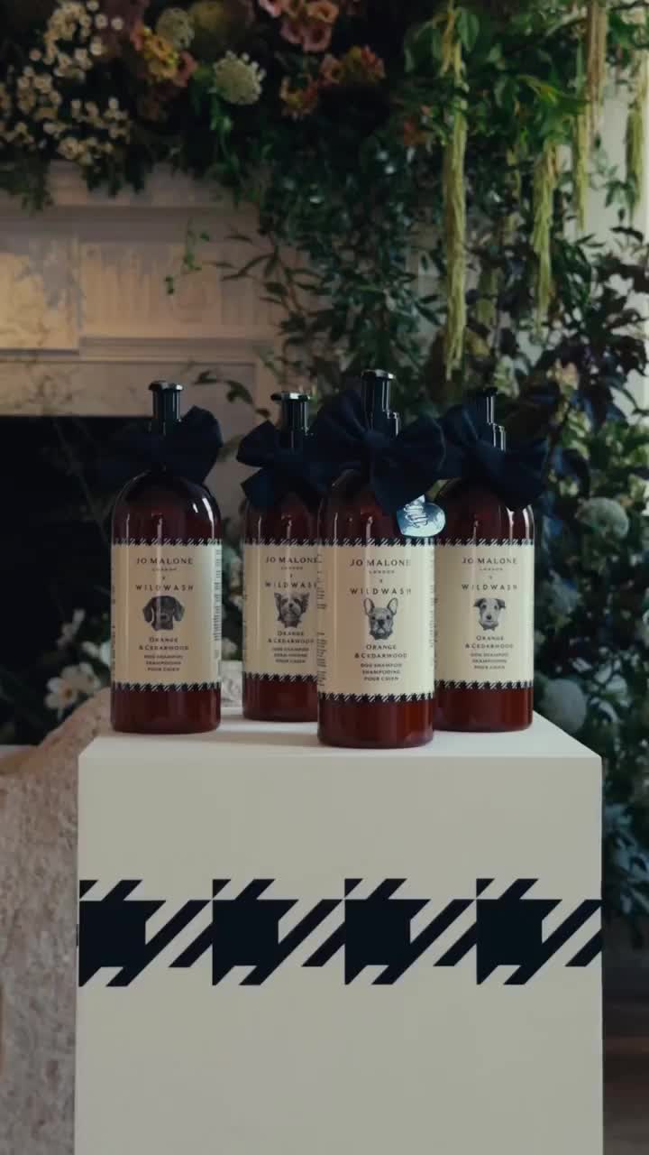 Jo Malone London and WildWash dog-shampoo launch video still