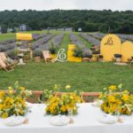 L'Occitane en Provence: localized heritage marketing — source image 1
