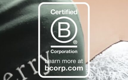 Mulberry B Corp certification announcement video cover