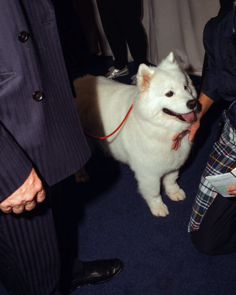 Tommy Hilfiger Spring/Summer 2027 backstage image 03