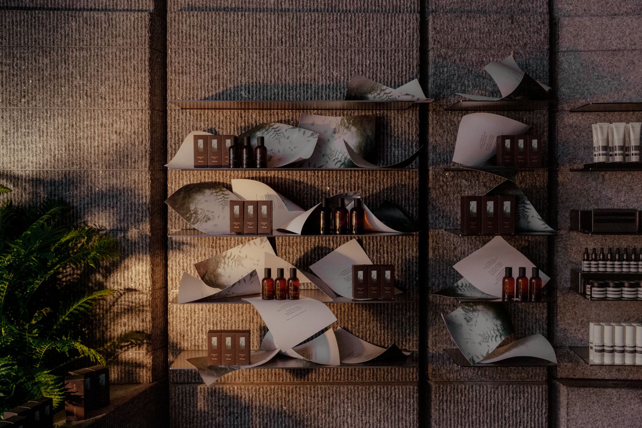 Fragrant Fables bottles arranged in sculptural wall-mounted forms