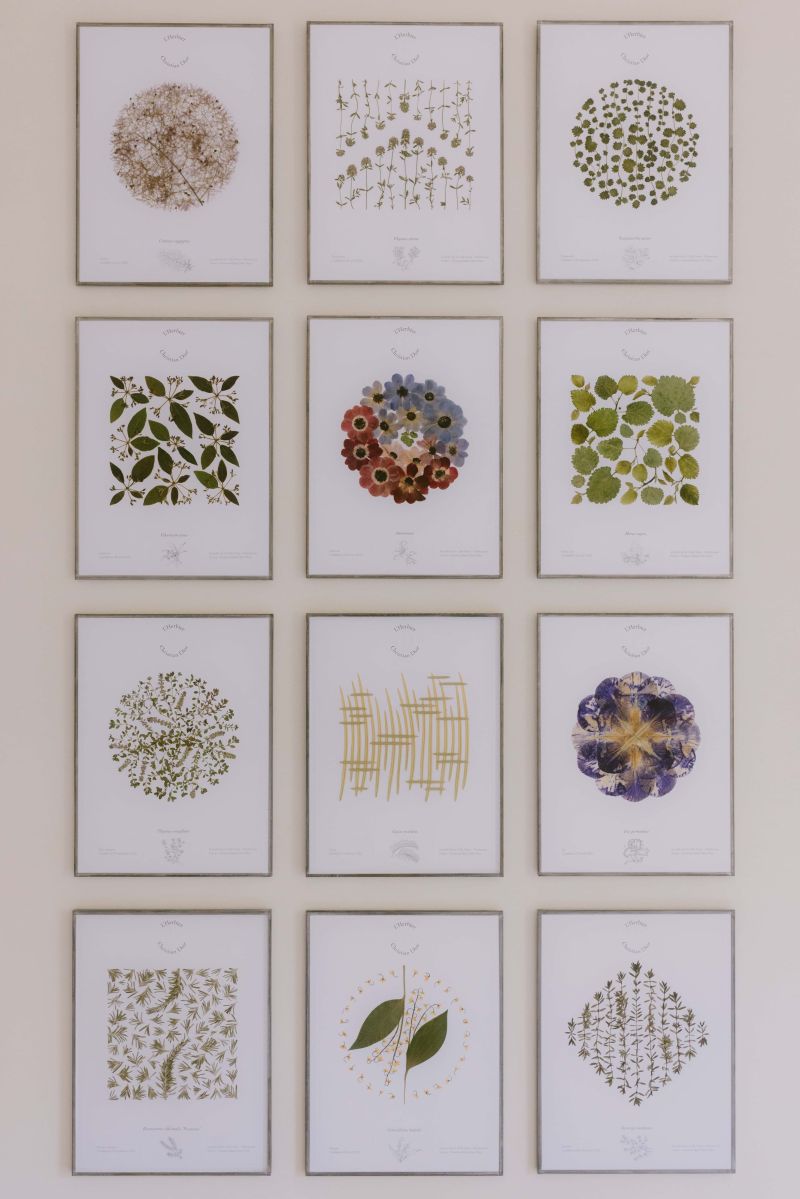 Botanical artworks displayed at Château de La Colle Noire
