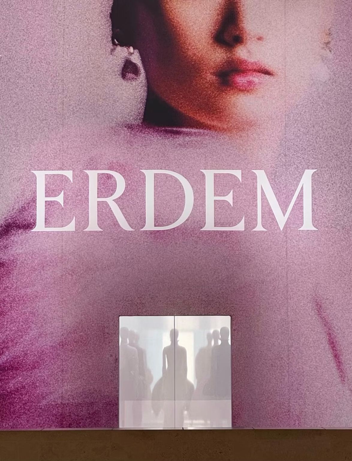 Entrance to the ERDEM exhibition at M7 with a large photographic installation