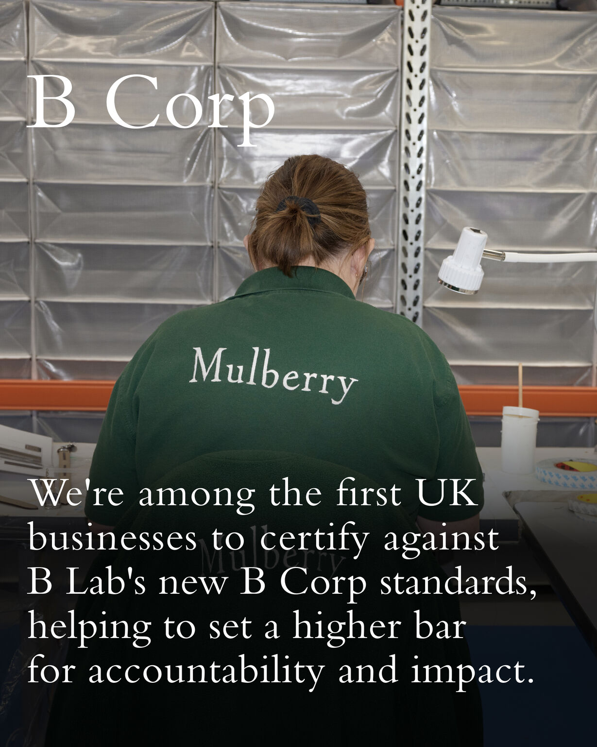 Mulberry B Corp certification announcement artwork