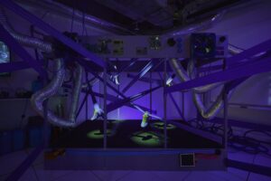 Nike x ONE PIECE footwear suspended in a themed lab installation