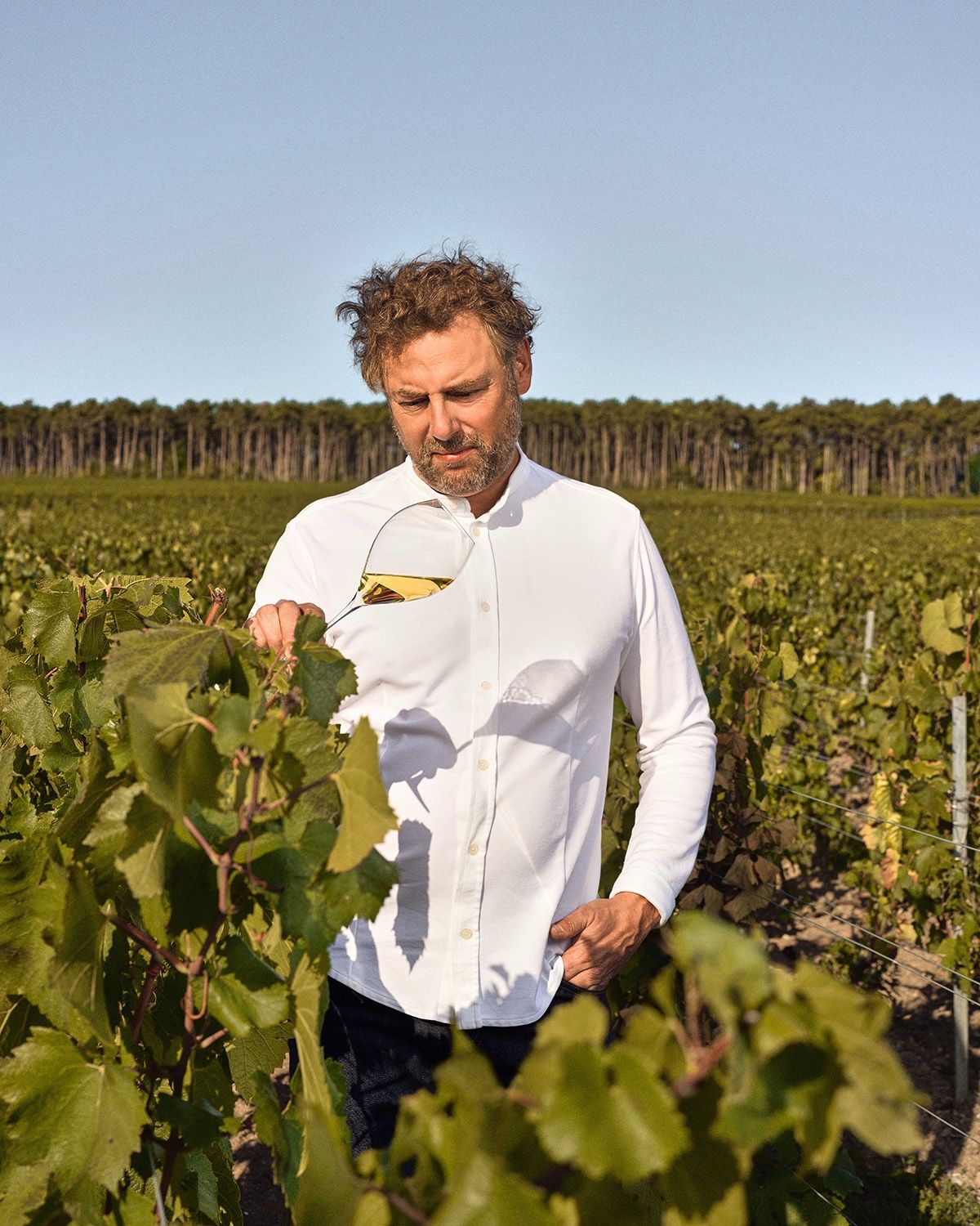 Chef Arnaud Donckele standing among vineyard rows