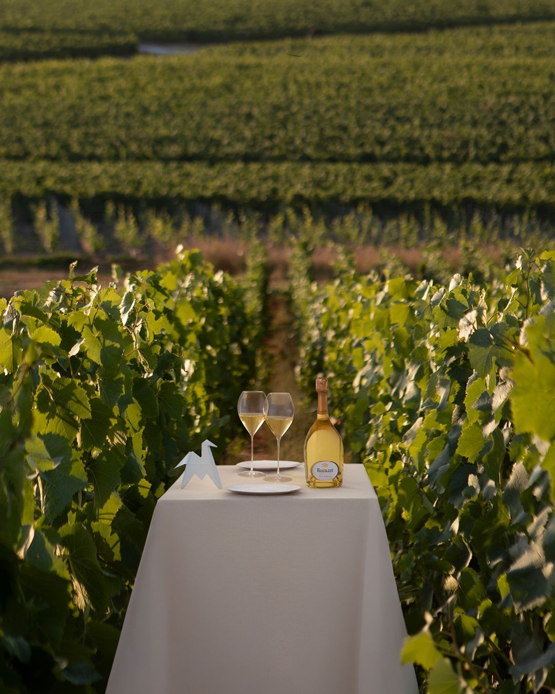 A dining table set among Champagne vines for Table Ruinart imagery